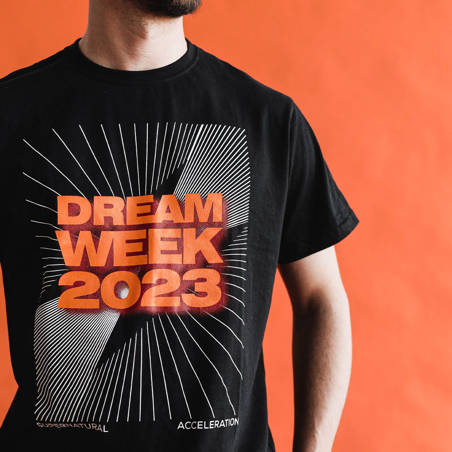DW23_THEME SHIRT